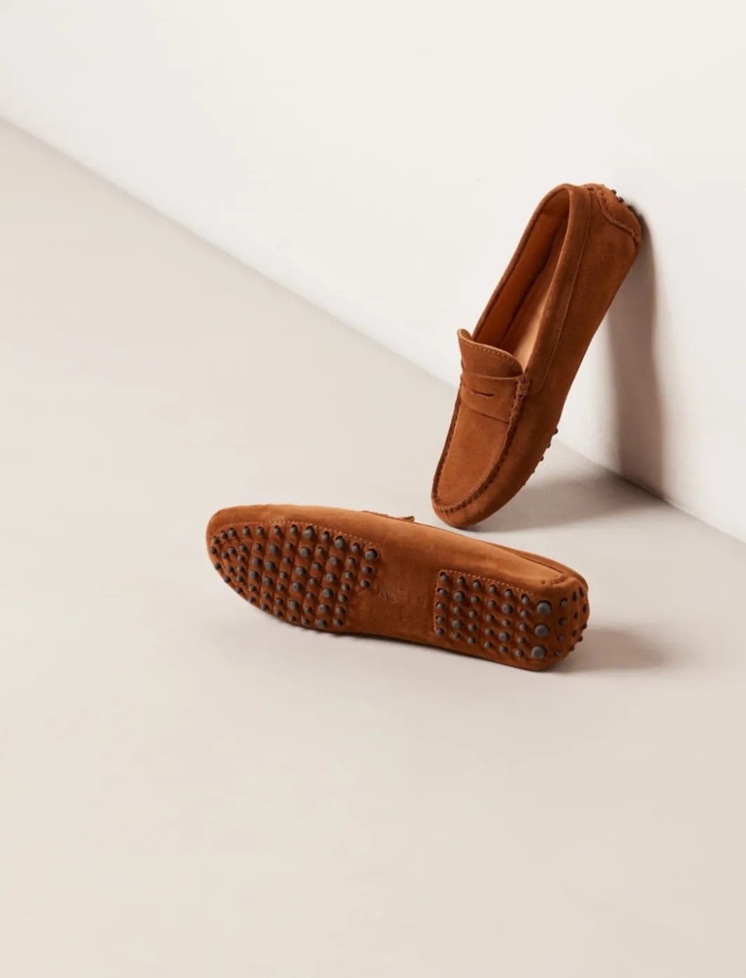 Basile>Pied de Biche Sale